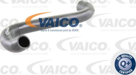 VAICO V20-0291 - Flessibile radiatore www.autoricambit.com