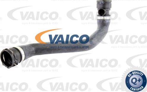 VAICO V20-0789 - Flessibile radiatore www.autoricambit.com