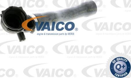 VAICO V20-1925 - Flessibile radiatore www.autoricambit.com