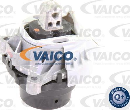 VAICO V20-1558 - Sospensione, Motore www.autoricambit.com