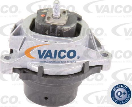 VAICO V20-1557 - Sospensione, Motore www.autoricambit.com