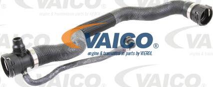 VAICO V20-1695 - Flessibile radiatore www.autoricambit.com