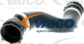 VAICO V20-1314 - Flessibile radiatore www.autoricambit.com