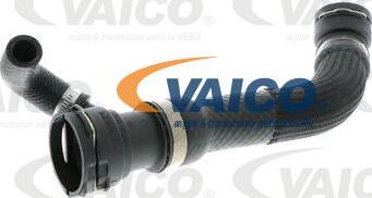 VAICO V20-1333 - Flessibile radiatore www.autoricambit.com