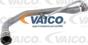 VAICO V20-1325 - Flessibile radiatore www.autoricambit.com