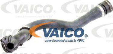 VAICO V20-1296 - Flessibile radiatore www.autoricambit.com