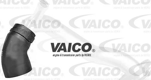 VAICO V20-1258 - Flessibile radiatore www.autoricambit.com