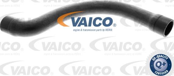 VAICO V20-1252 - Flessibile radiatore www.autoricambit.com