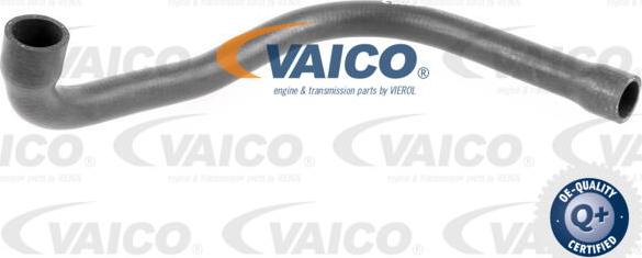 VAICO V20-1746 - Flessibile radiatore www.autoricambit.com