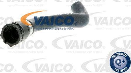 VAICO V20-1771 - Flessibile radiatore www.autoricambit.com