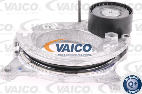 VAICO V20-8260 - Tendicinghia, Cinghia Poly-V www.autoricambit.com