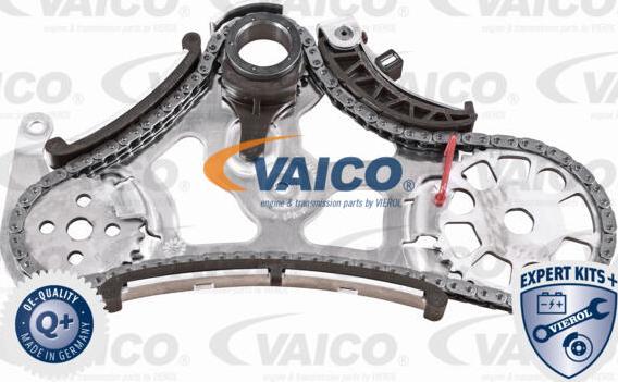 VAICO V20-3918 - Kit catene, Azionamento pompa olio www.autoricambit.com