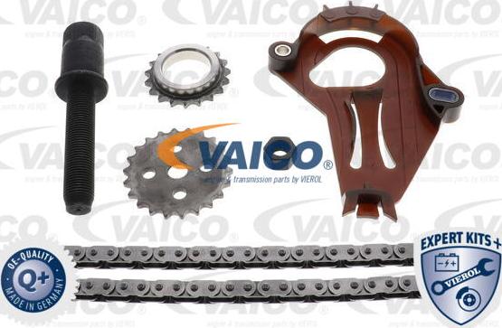 VAICO V20-3924 - Kit catene, Azionamento pompa olio www.autoricambit.com