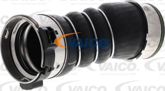 VAICO V20-3656 - Flessibile aria alimentazione www.autoricambit.com