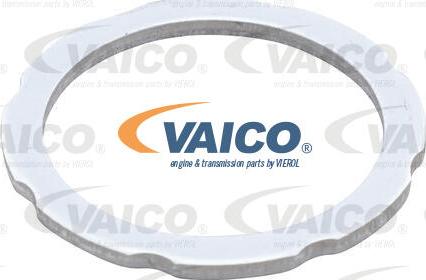 VAICO V20-3133 - Tenditore, Catena distribuzione www.autoricambit.com