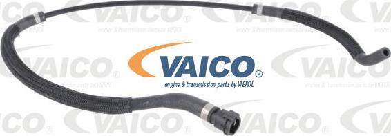 VAICO V20-3864 - Flessibile radiatore www.autoricambit.com