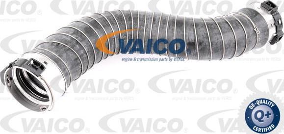 VAICO V20-2966 - Flessibile aria alimentazione www.autoricambit.com