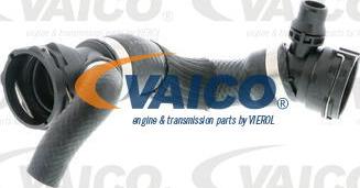 VAICO V20-2400 - Flessibile radiatore www.autoricambit.com