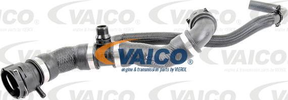 VAICO V20-2421 - Flessibile radiatore www.autoricambit.com