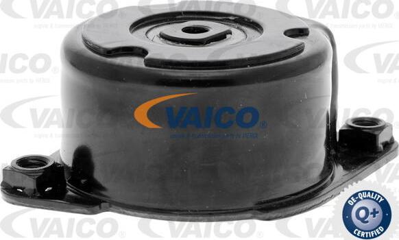 VAICO V20-2626 - Tendicinghia, Cinghia Poly-V www.autoricambit.com