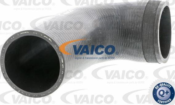 VAICO V20-2711 - Flessibile aria alimentazione www.autoricambit.com