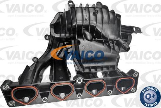 VAICO V22-0902 - Modulo collettore aspirazione www.autoricambit.com