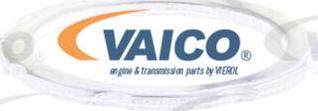 VAICO V22-0469 - Tenditore, Catena distribuzione www.autoricambit.com