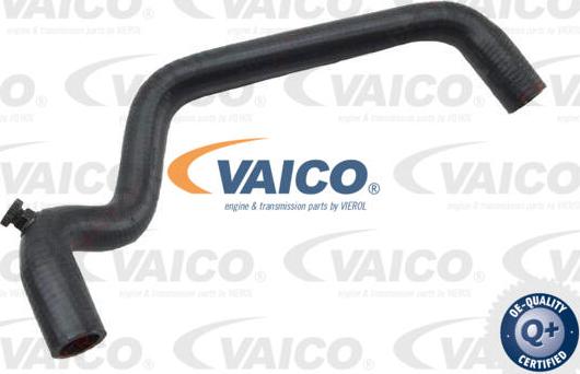 VAICO V22-0852 - Flessibile radiatore www.autoricambit.com