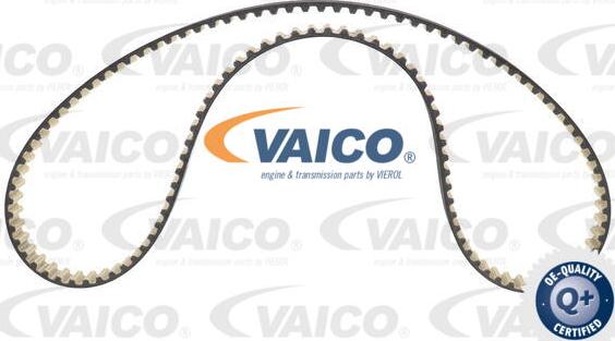 VAICO V22-0882 - Cinghia dentata www.autoricambit.com