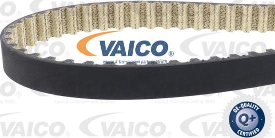 VAICO V22-0882 - Cinghia dentata www.autoricambit.com