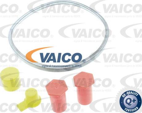 VAICO V22-1002 - Filtro carburante www.autoricambit.com