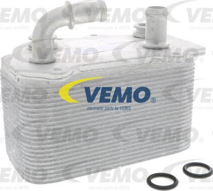 Vemo V45-60-0007 - Radiatore olio, Olio motore www.autoricambit.com