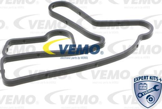 Vemo V40-60-2100 - Radiatore olio, Olio motore www.autoricambit.com