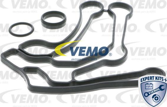 Vemo V40-60-2101 - Radiatore olio, Olio motore www.autoricambit.com