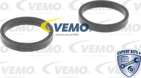 Vemo V40-60-2103 - Radiatore olio, Olio motore www.autoricambit.com