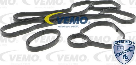 Vemo V40-60-2117 - Radiatore olio, Olio motore www.autoricambit.com