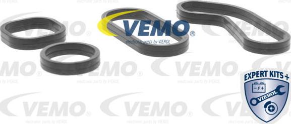 Vemo V42-60-0008 - Radiatore olio, Olio motore www.autoricambit.com