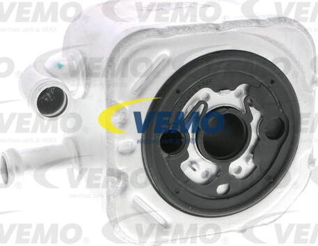 Vemo V15-60-6014 - Radiatore olio, Olio motore www.autoricambit.com