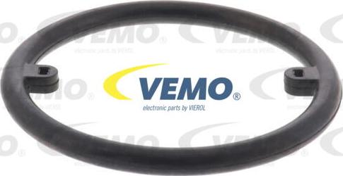 Vemo V15-60-6010 - Radiatore olio, Olio motore www.autoricambit.com