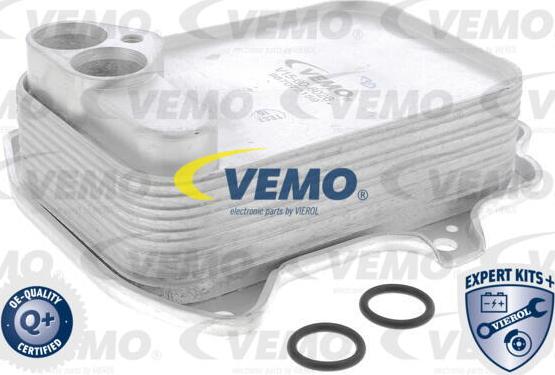 Vemo V15-60-6026 - Radiatore olio, Olio motore www.autoricambit.com