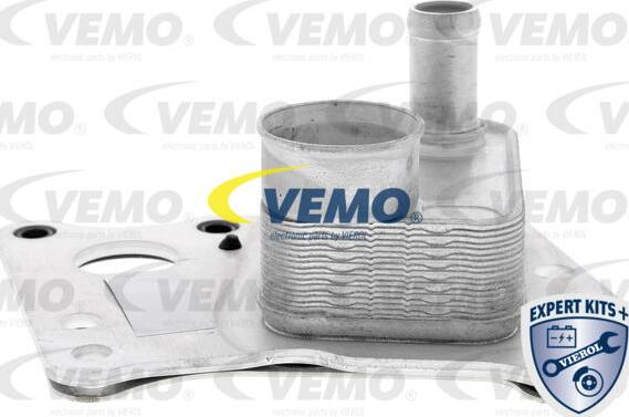 Vemo V30-60-0008 - Radiatore olio, Olio motore www.autoricambit.com