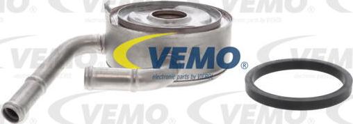 Vemo V38-60-0009 - Radiatore olio, Olio motore www.autoricambit.com