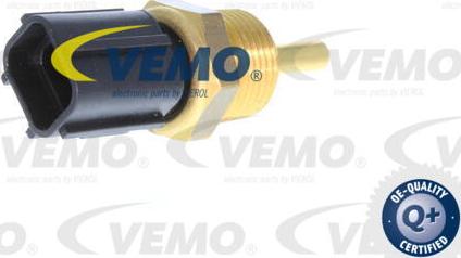 Vemo V37-72-0004 - Sensore, Temperatura refrigerante www.autoricambit.com