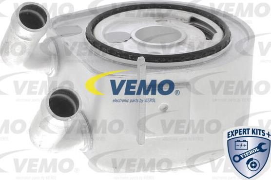 Vemo V25-60-0035 - Radiatore olio, Olio motore www.autoricambit.com