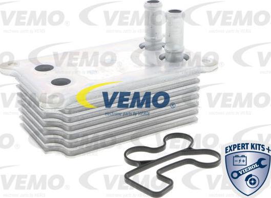 Vemo V25-60-0031 - Radiatore olio, Olio motore www.autoricambit.com