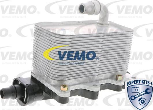 Vemo V20-60-0046 - Radiatore olio, Olio motore www.autoricambit.com