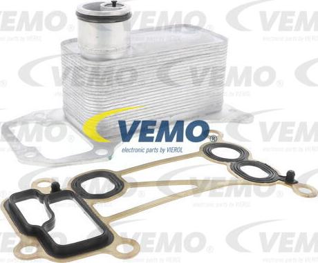 Vemo V20-60-0056 - Radiatore olio, Olio motore www.autoricambit.com