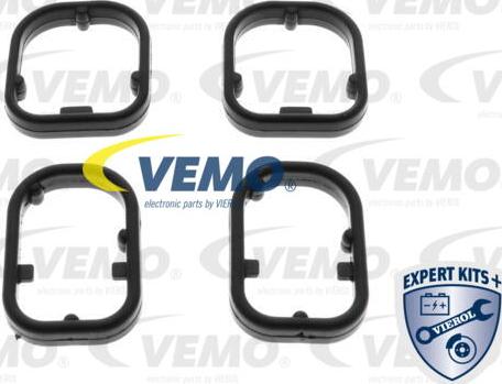 Vemo V20-60-1565 - Kit guarnizioni, Radiatore olio www.autoricambit.com