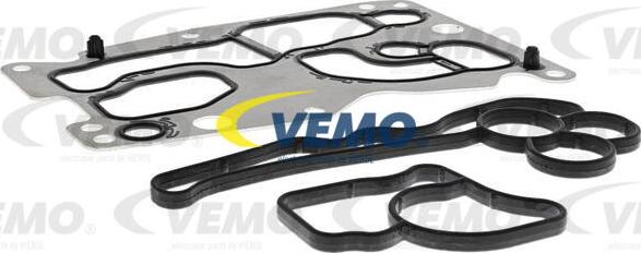 Vemo V20-60-1533 - Radiatore olio, Olio motore www.autoricambit.com