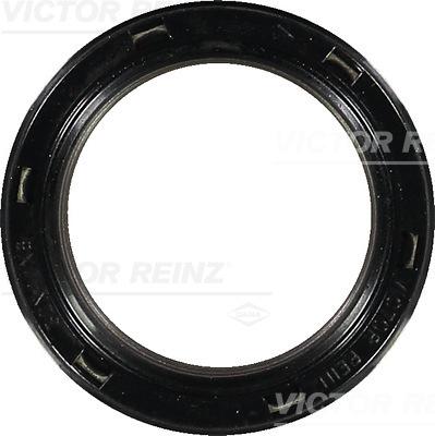 Victor Reinz 81-34461-00 - Paraolio, Albero a gomiti www.autoricambit.com